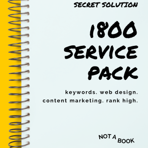 SEO - BEST BUY PRICE MATCH - i800services